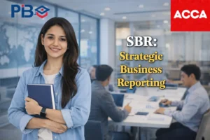 SBR Strategic Business Reporting