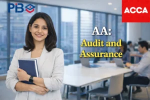 AA Audit and Assurance