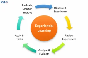 Team Outbound & Experiential Learning