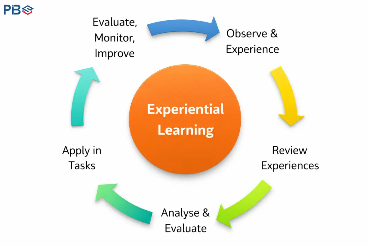 Team Outbound & Experiential Learning